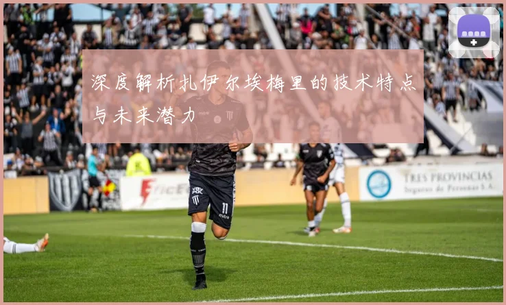 深度解析扎伊尔埃梅里的技术特点与未来潜力